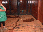 image: pv01_06.jpg
-----
FileName: pv01_06.jpg
FileDateTime: 999270529
FileSize: 47929
Height: 480
Width: 640
IsColor: 1
