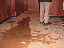image: pv01_08.jpg
-----
FileName: pv01_08.jpg
FileDateTime: 999270537
FileSize: 43715
Height: 480
Width: 640
IsColor: 1
