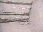 image: pv01_12.jpg
-----
FileName: pv01_12.jpg
FileDateTime: 999270548
FileSize: 48628
Height: 480
Width: 640
IsColor: 1

