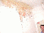 image: pv01_19.jpg
-----
FileName: pv01_19.jpg
FileDateTime: 999270588
FileSize: 34126
Height: 480
Width: 640
IsColor: 1
