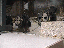 image: pv01_28.jpg
-----
FileName: pv01_28.jpg
FileDateTime: 999270631
FileSize: 48700
Height: 480
Width: 640
IsColor: 1
