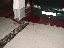 image: pv01_48.jpg
-----
FileName: pv01_48.jpg
FileDateTime: 999270696
FileSize: 38746
Height: 480
Width: 640
IsColor: 1
