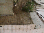 image: pv01_60.jpg
-----
FileName: pv01_60.jpg
FileDateTime: 999270739
FileSize: 52153
Height: 480
Width: 640
IsColor: 1
