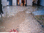 image: pv02_01.jpg
-----
FileName: pv02_01.jpg
FileDateTime: 999292141
FileSize: 63683
Height: 403
Width: 583
IsColor: 1

