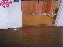 image: pv02_04.jpg
-----
FileName: pv02_04.jpg
FileDateTime: 999292153
FileSize: 44370
Height: 583
Width: 395
IsColor: 1
