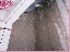 image: pv02_06.jpg
-----
FileName: pv02_06.jpg
FileDateTime: 999292160
FileSize: 55968
Height: 573
Width: 395
IsColor: 1
