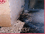 image: pv02_12.jpg
-----
FileName: pv02_12.jpg
FileDateTime: 999292181
FileSize: 63156
Height: 583
Width: 391
IsColor: 1
