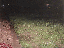 image: pv02_32.jpg
-----
FileName: pv02_32.jpg
FileDateTime: 999292256
FileSize: 66187
Height: 587
Width: 393
IsColor: 1
